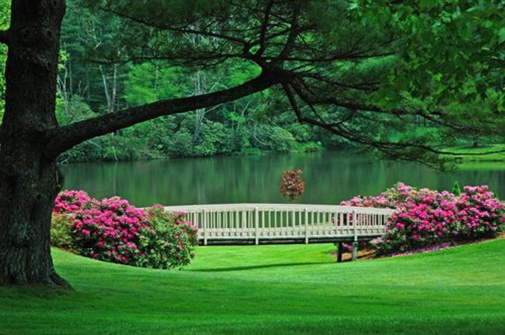 Chetola Resort At ブローイング・ロック エクステリア 写真